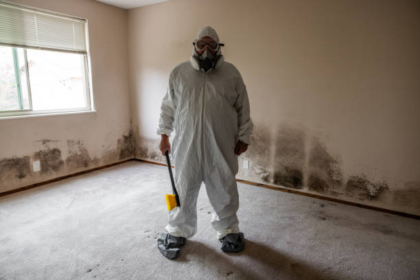 Professional Mold Removal in West Allis, WI